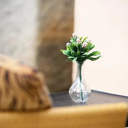 Jm-sutomiscica-holiday House On The